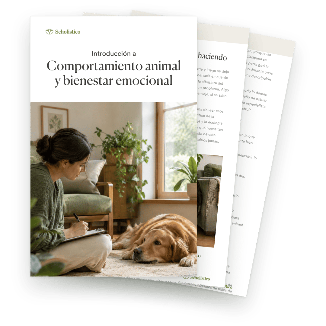 Comprenda lo que sienten los animales y por qué hacen lo que hacen.