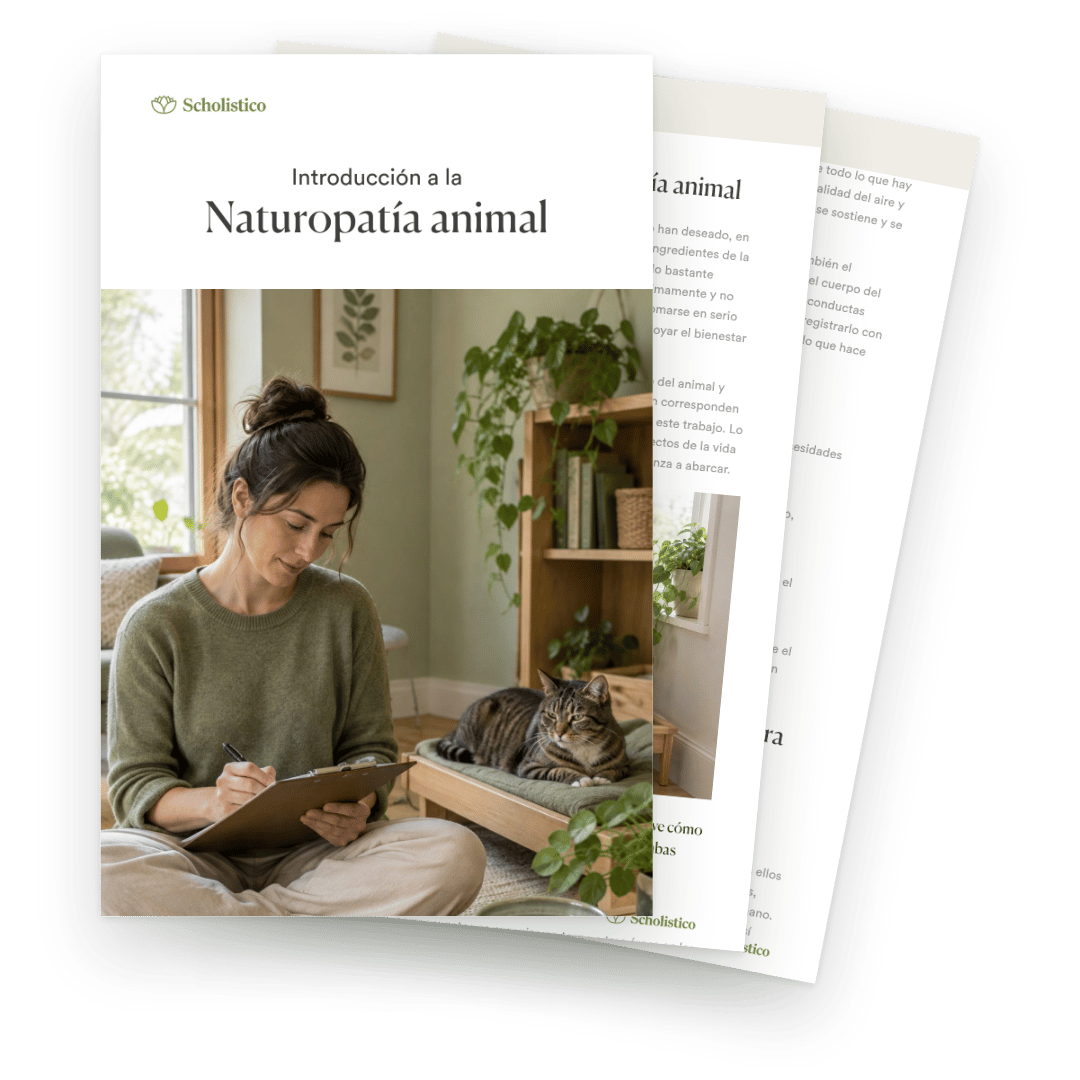 Descubra qué es la naturopatía animal, cómo se desarrolla una sesión y qué hace falta para apoyar el bienestar de perros y gatos de forma profesional y en colaboración con el veterinario.