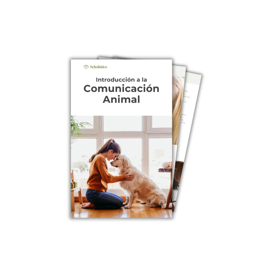Descubra la comunicación animal — comience hoy su curso de introducción gratuito.