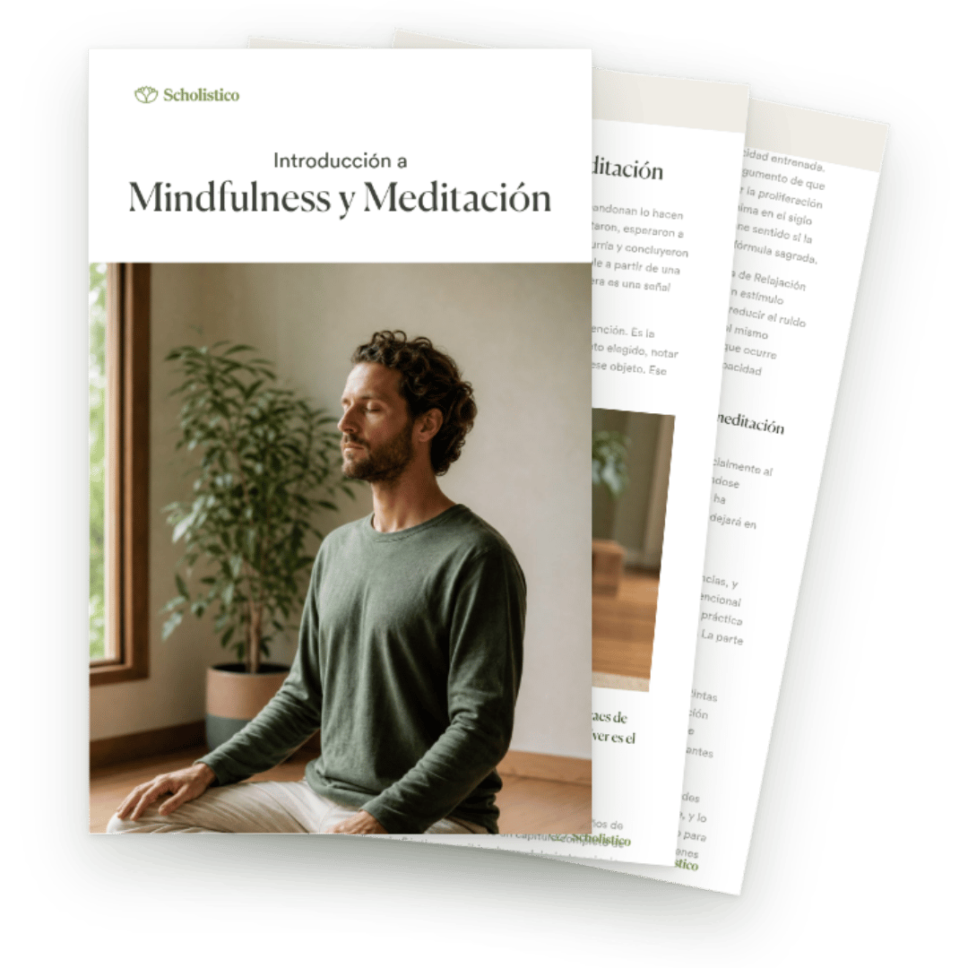 Descubra qué son realmente el mindfulness y la meditación, cómo funcionan y qué se necesita para practicarlos.