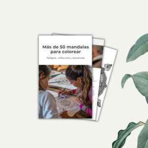 E Book Mock ups