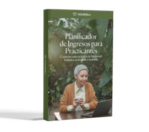 Practitioner Income Planner Espanish MOCK