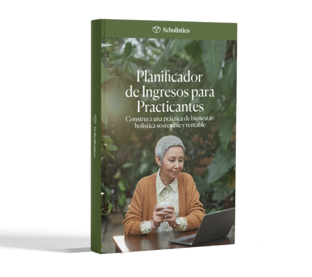 Practitioner Income Planner Espanish MOCK