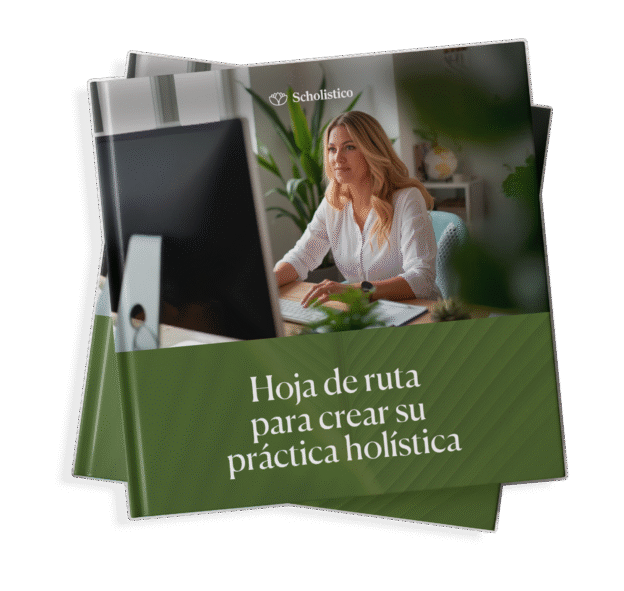 The Holistic Practice Setup Roadmap ES