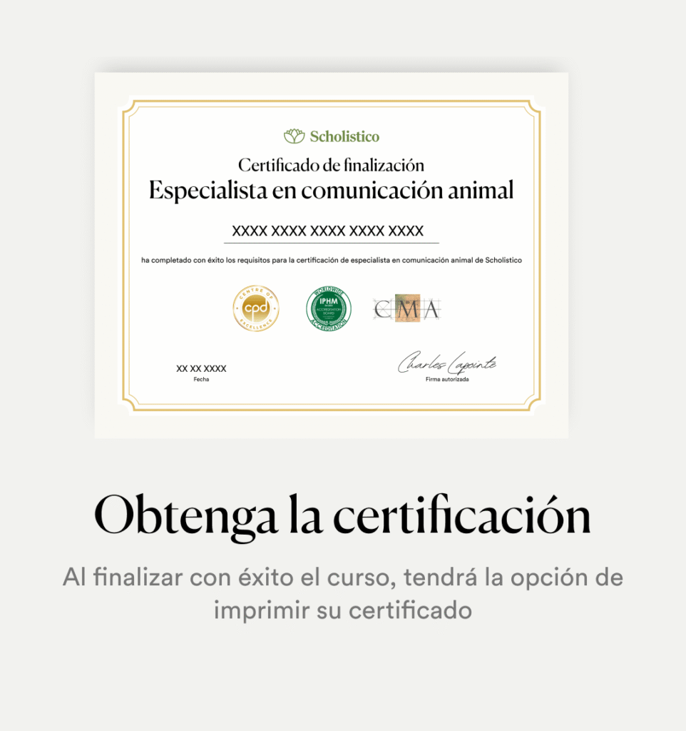 New_ES_SP_Creatives_CTA (3)