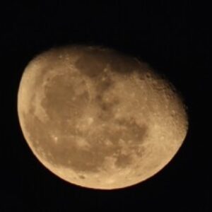 Foto de perfil de Alma Rosa