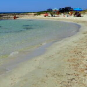 Foto de perfil de Pilar Merino Terrón