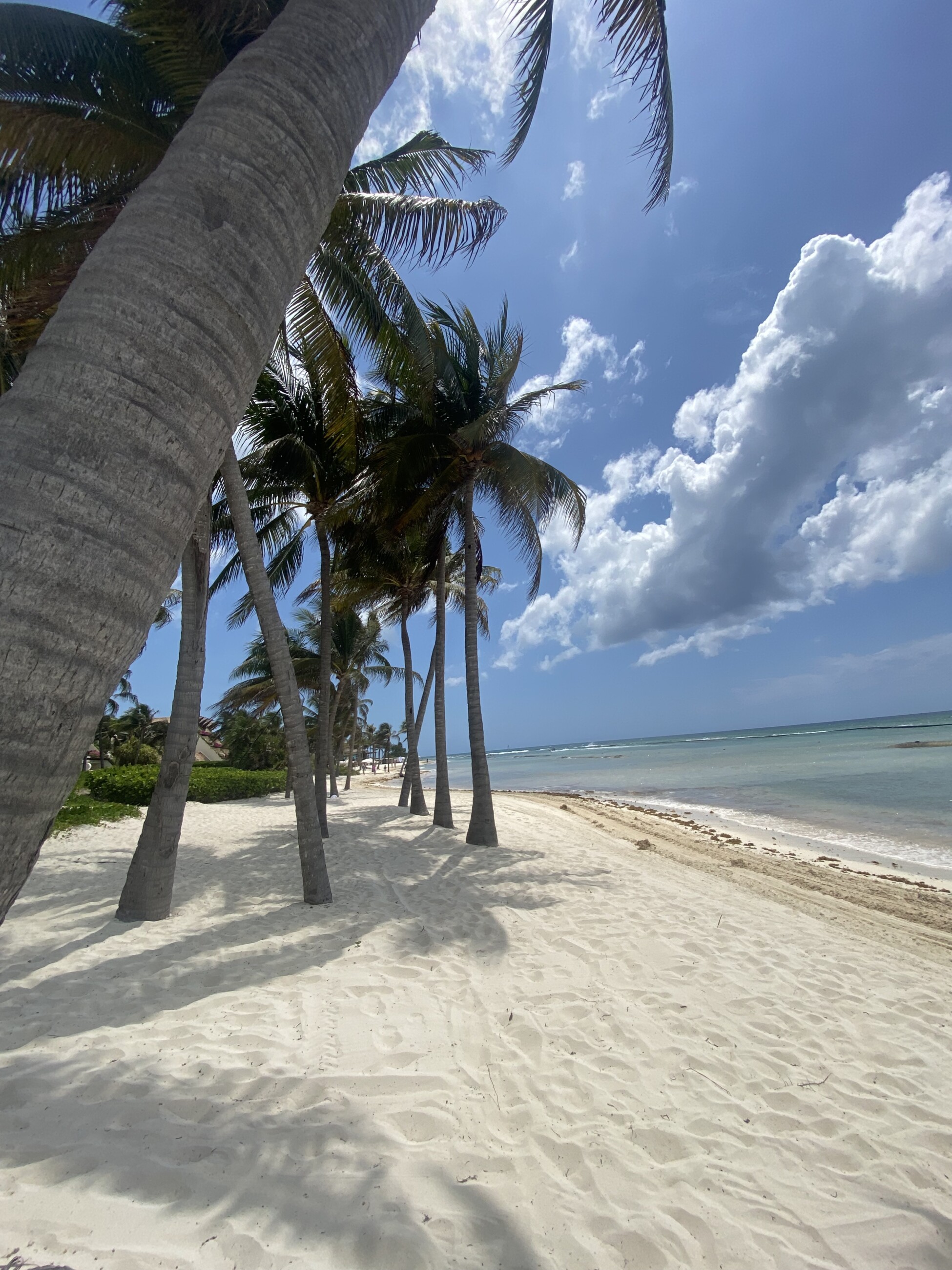 666402a86c534 bp cover image