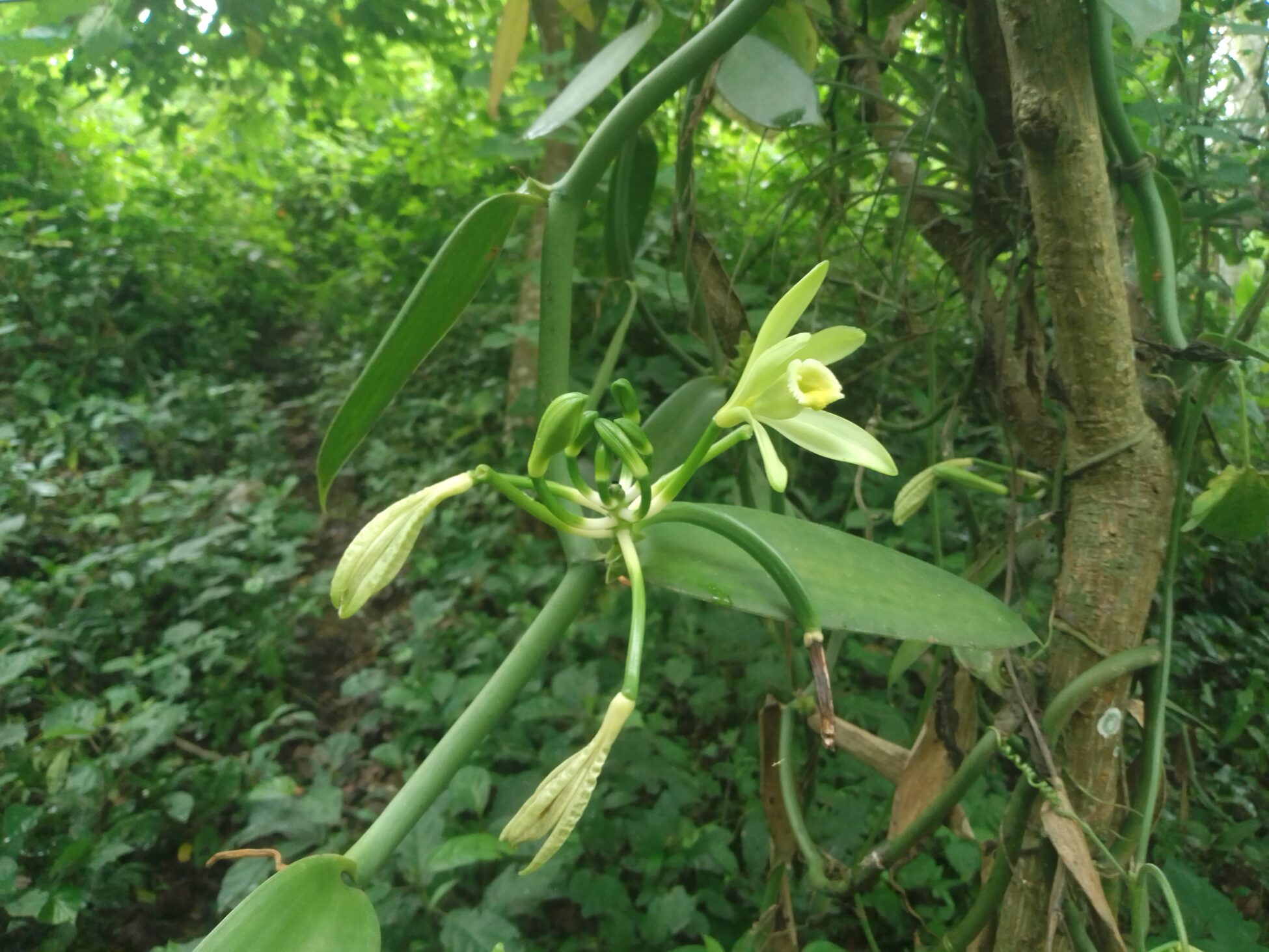 68732871cef15 bp cover image